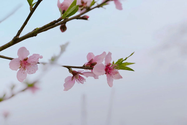 助企精準(zhǔn)治污降本增效，蘇州首個(gè)“炭管家”智慧平臺全面推廣